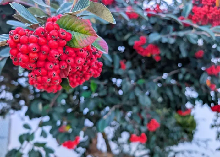 招待所 Onda Atlantica - Atlantic Wave 3*