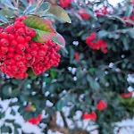 Guest house Onda Atlantica - Atlantic Wave 3*