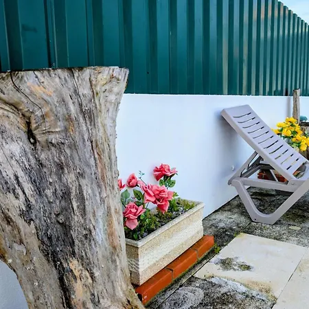 Onda Atlantica - Atlantic Wave Peniche