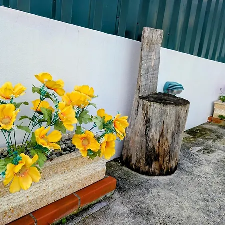 Onda Atlantica - Atlantic Wave 3* Peniche