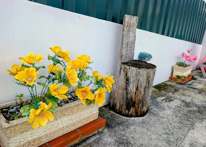 Onda Atlantica - Atlantic Wave 3* Пениши